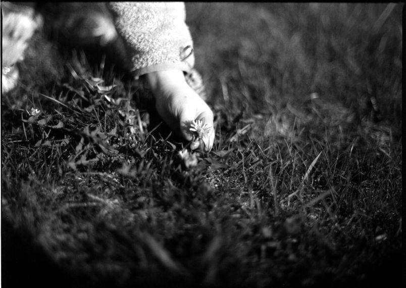 Seeing the Inspiration