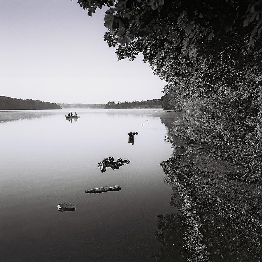 Selected images