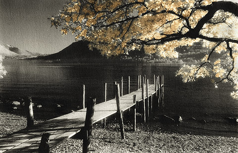 Selective toning 1