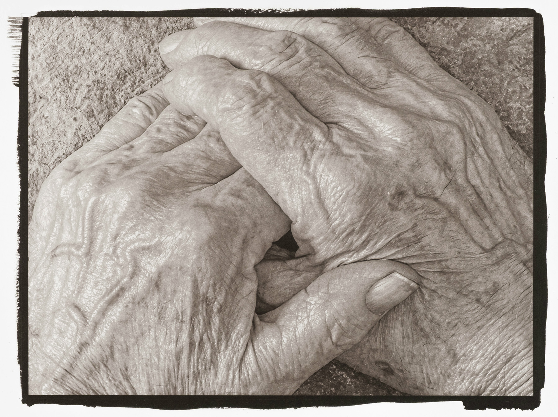Self-Portrait: Hands