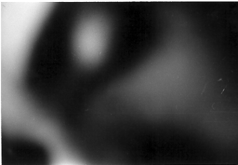 Self Portrait in Confusion