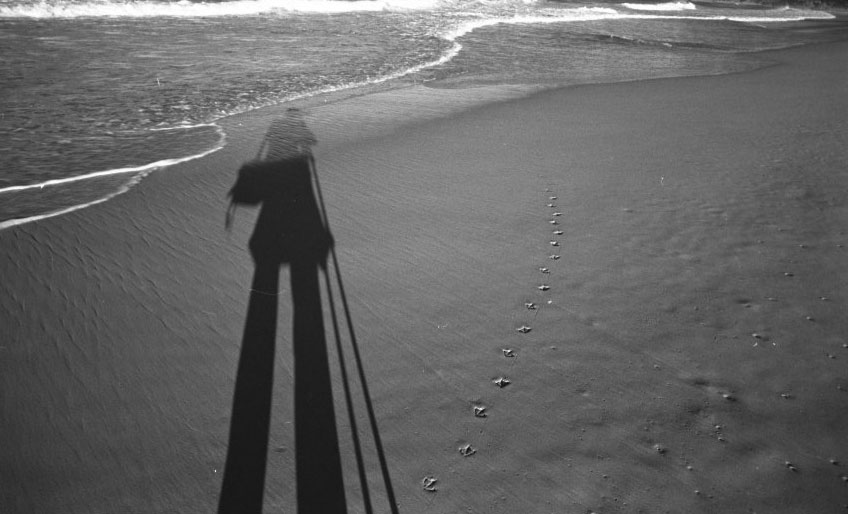 Self portrait