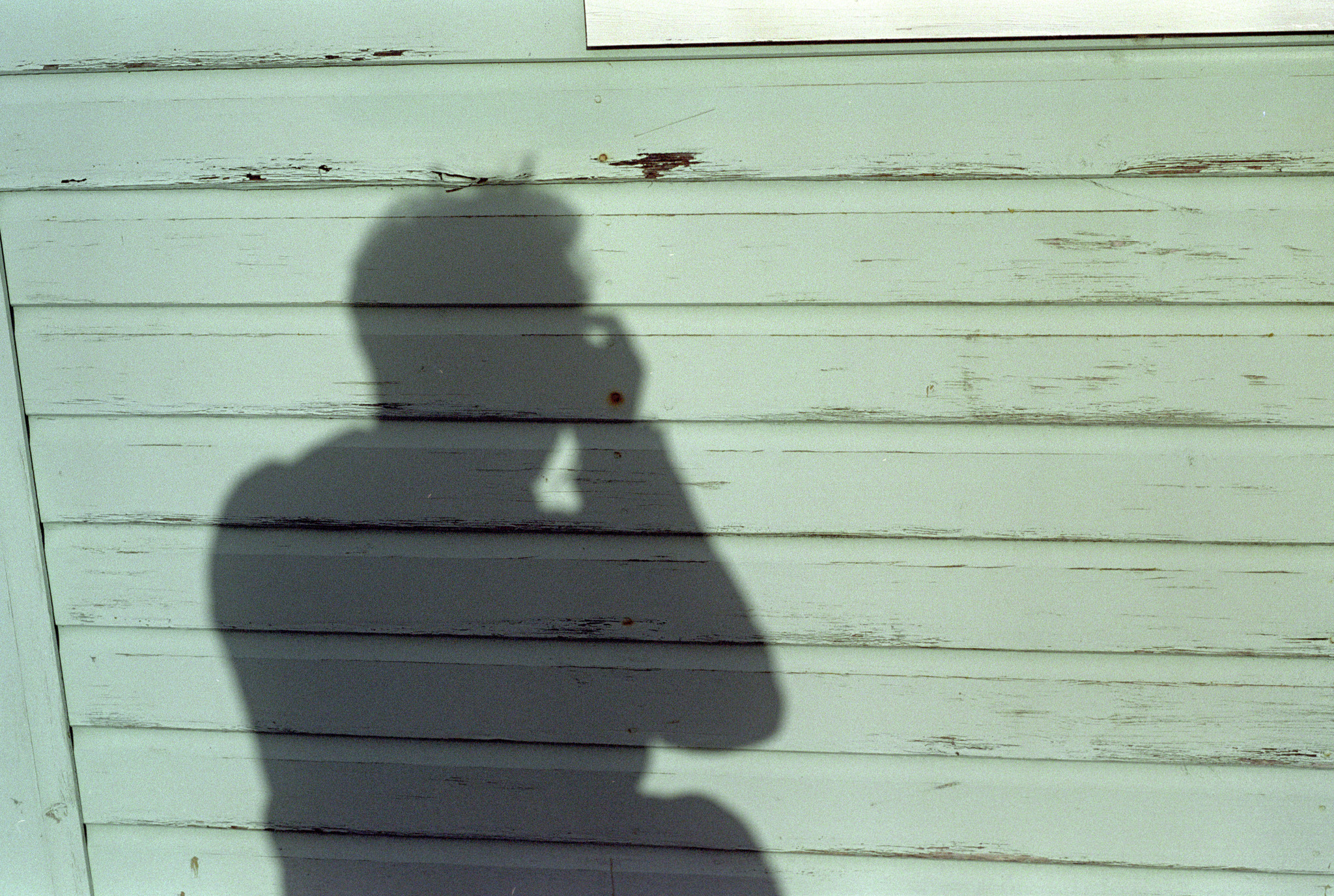 Self portrait