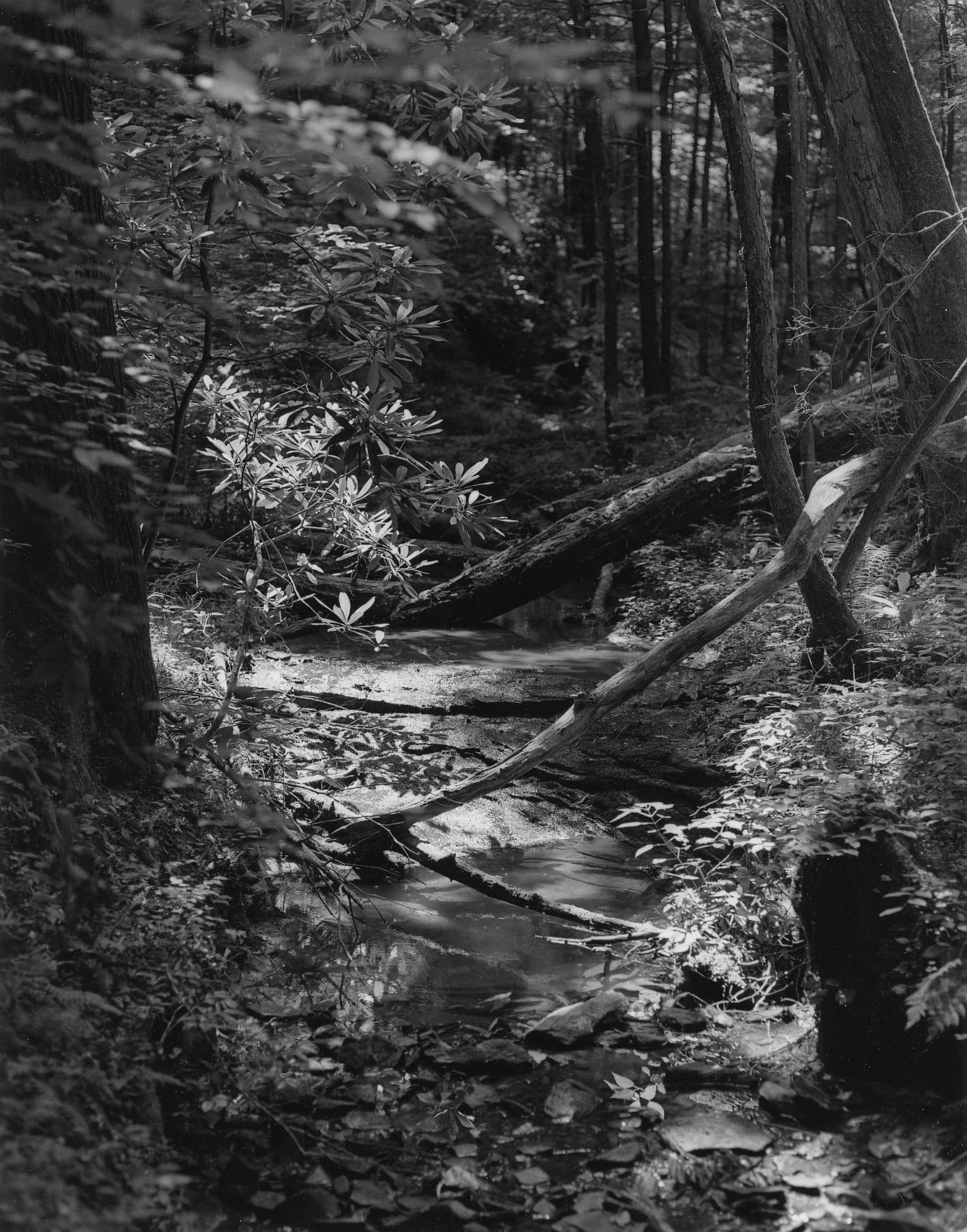 Sequenze I-25 (Puddles of Sunshine)