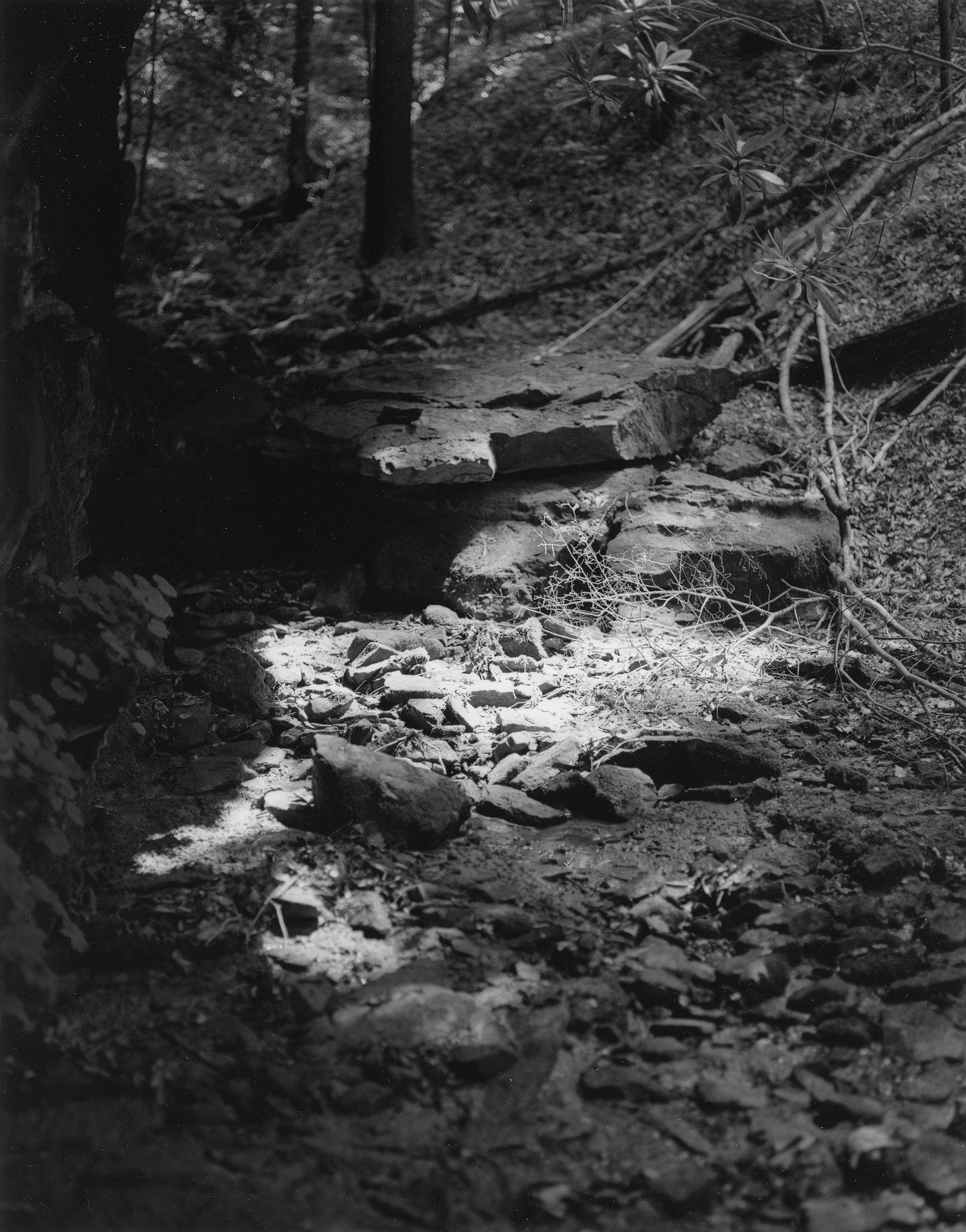 Sequenze I-26 (Puddles of Sunshine)