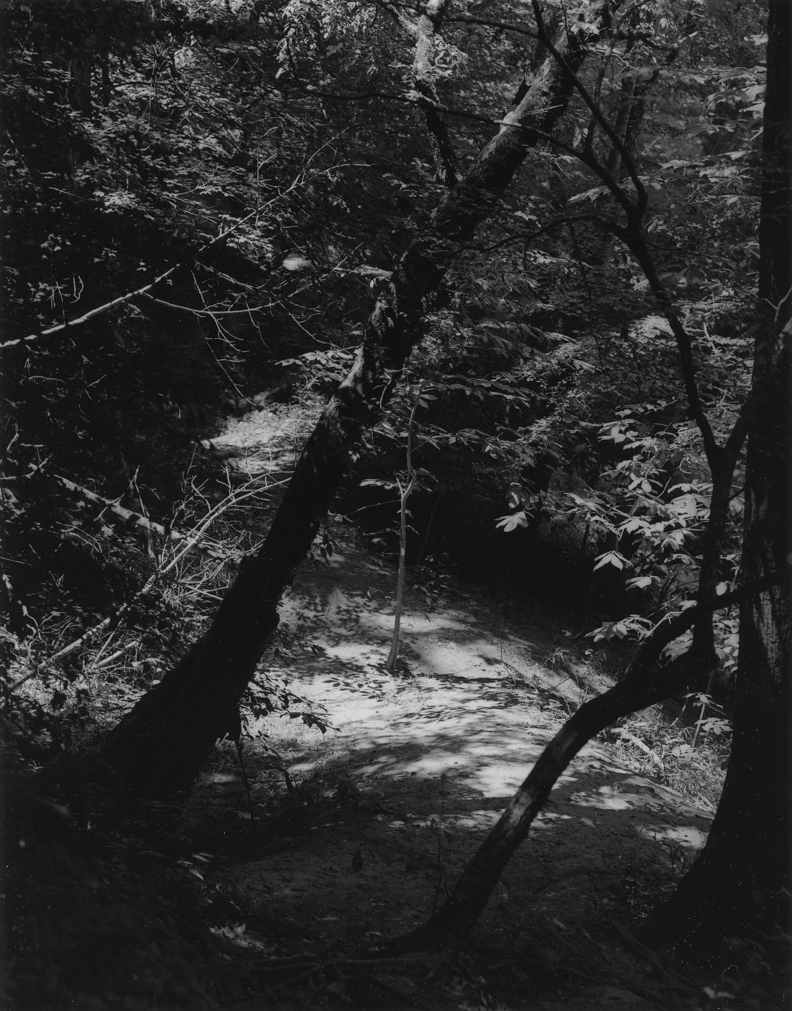 Sequenze I-29 (Puddles of Sunshine)