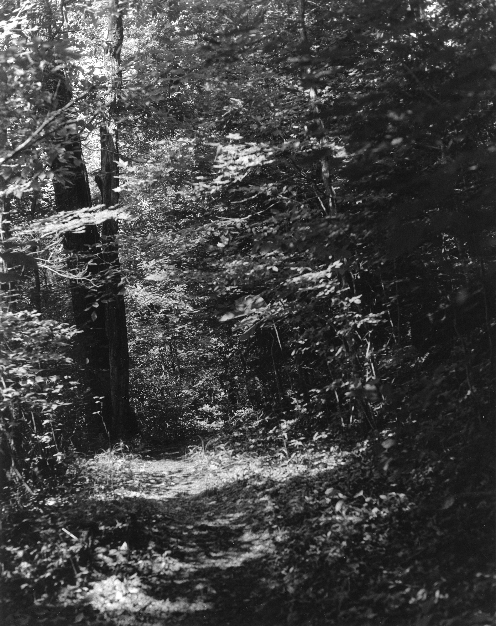 Sequenzes I-1 (Puddles of Sunshine)