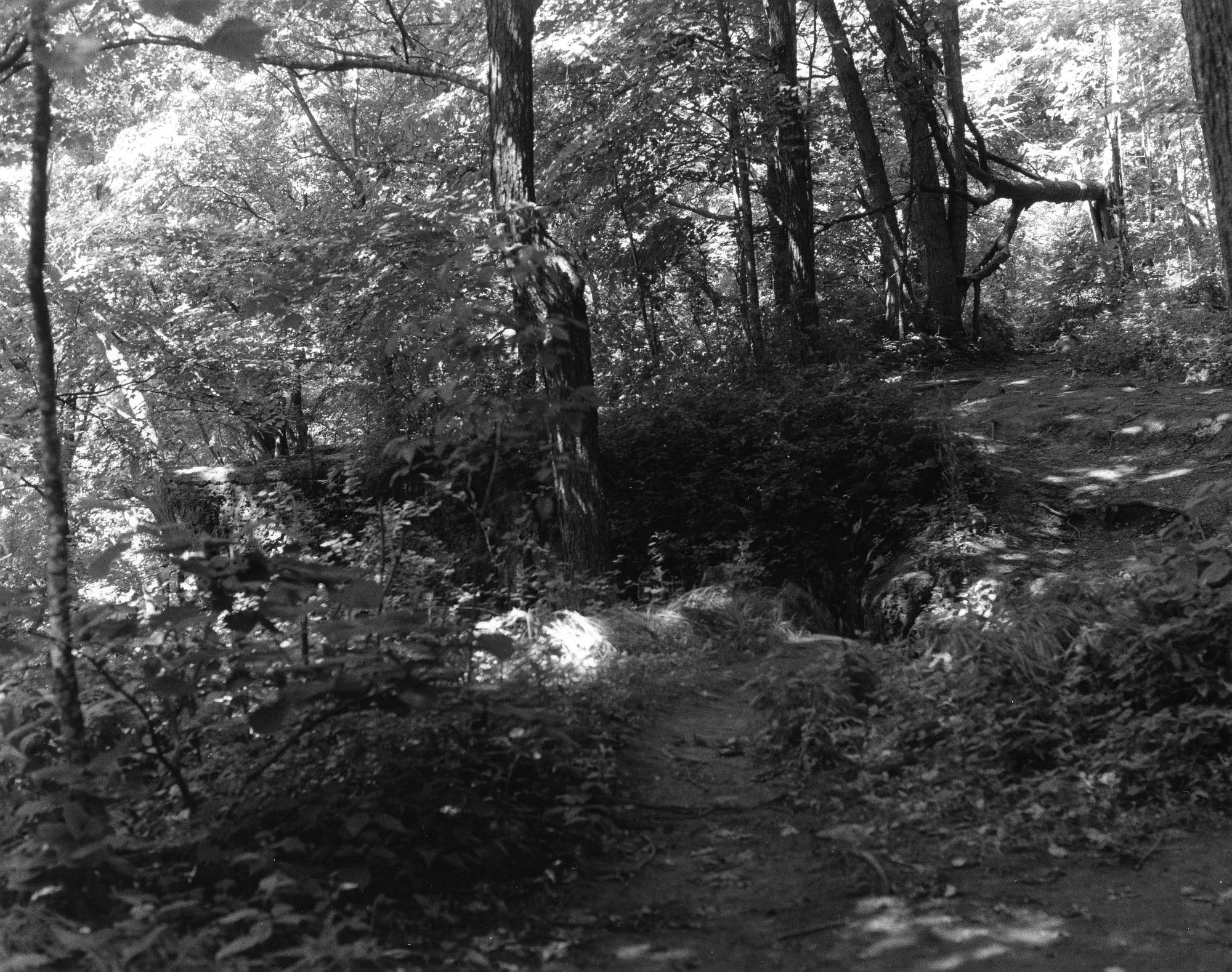 Sequenzes I-15 (Puddles of Sunshine)