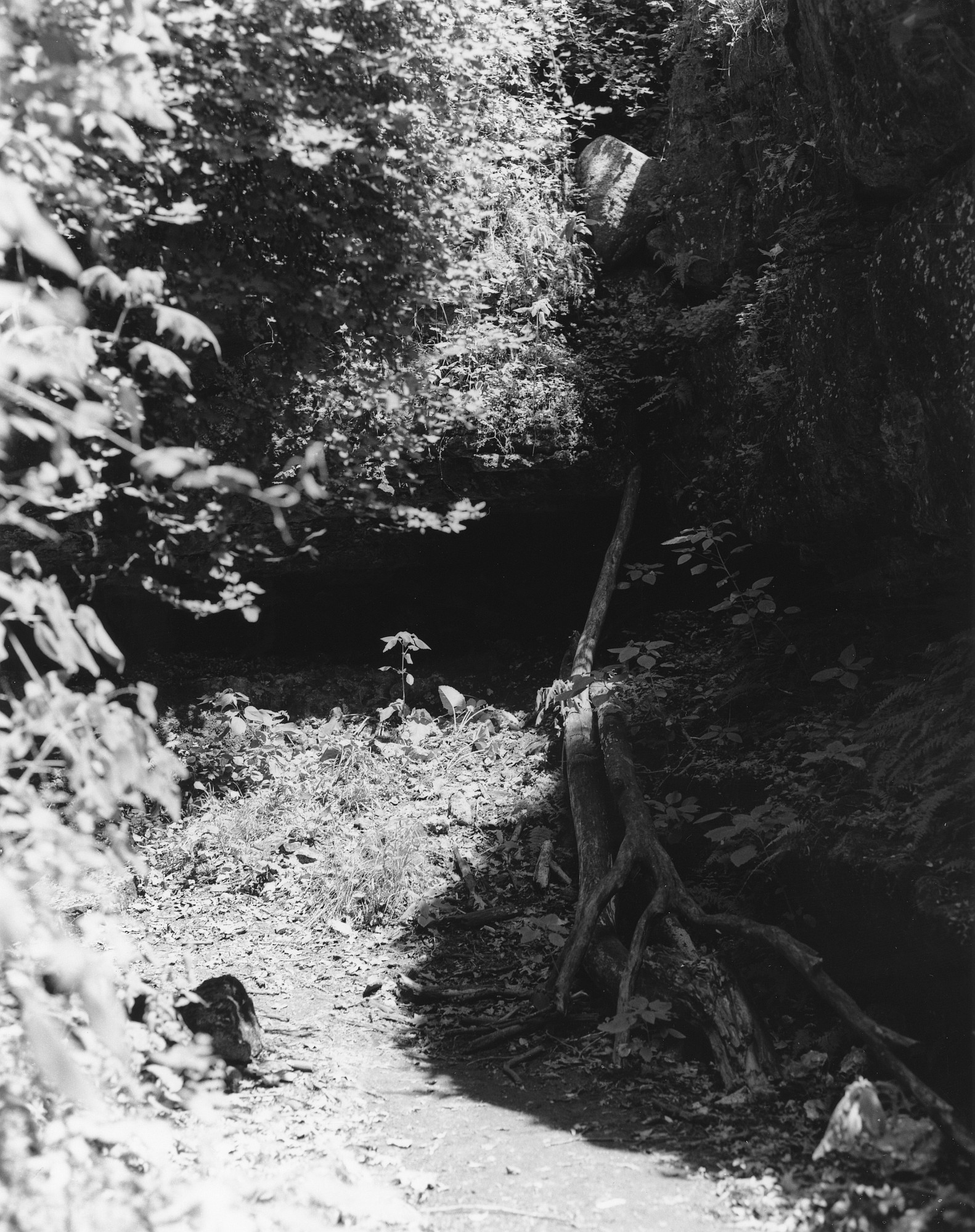 Sequenzes I-17 (Puddles of Sunshine)