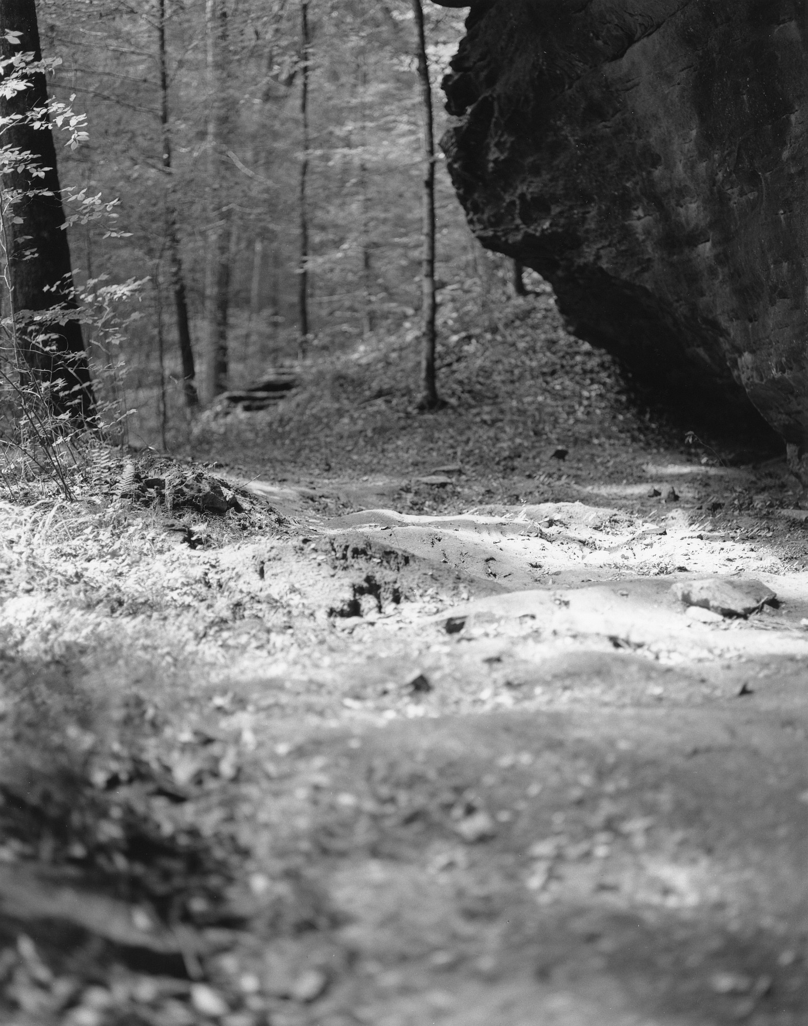 Sequenzes I-19 (Puddles of Sunshine)