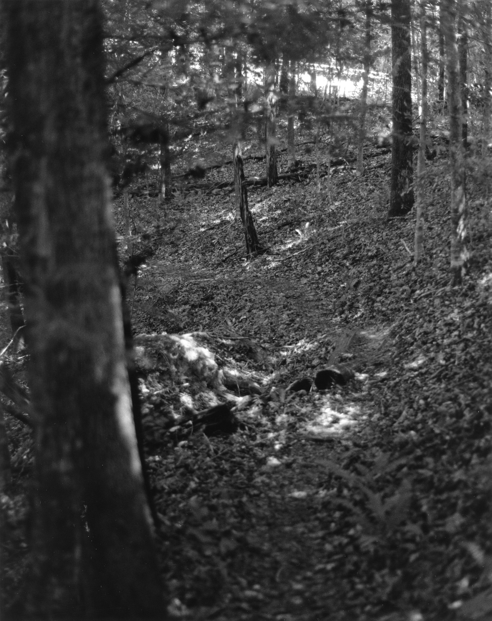 Sequenzes I-2 (Puddles of Sunshine)