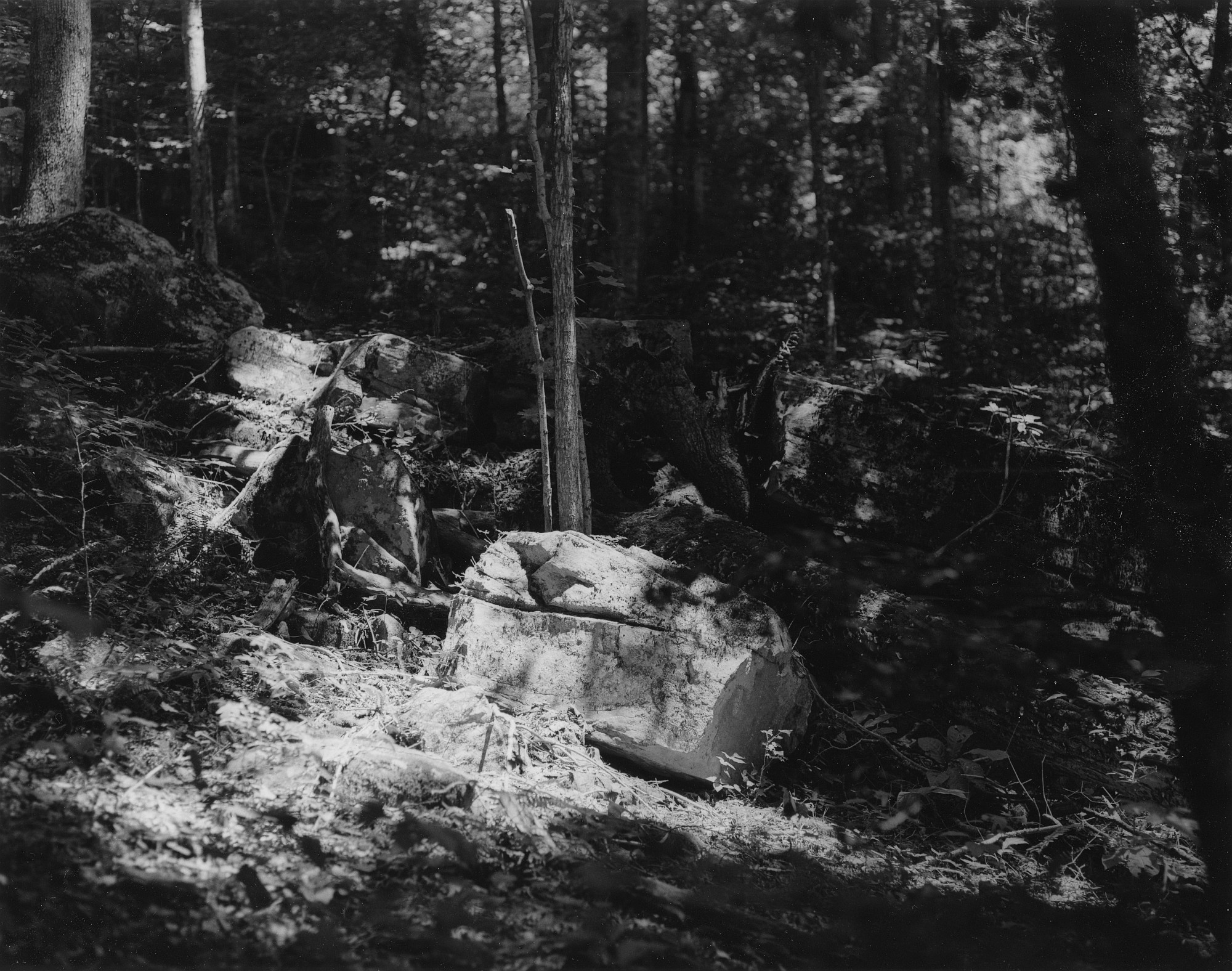 Sequenzes I-21 (Puddles of Sunshine)