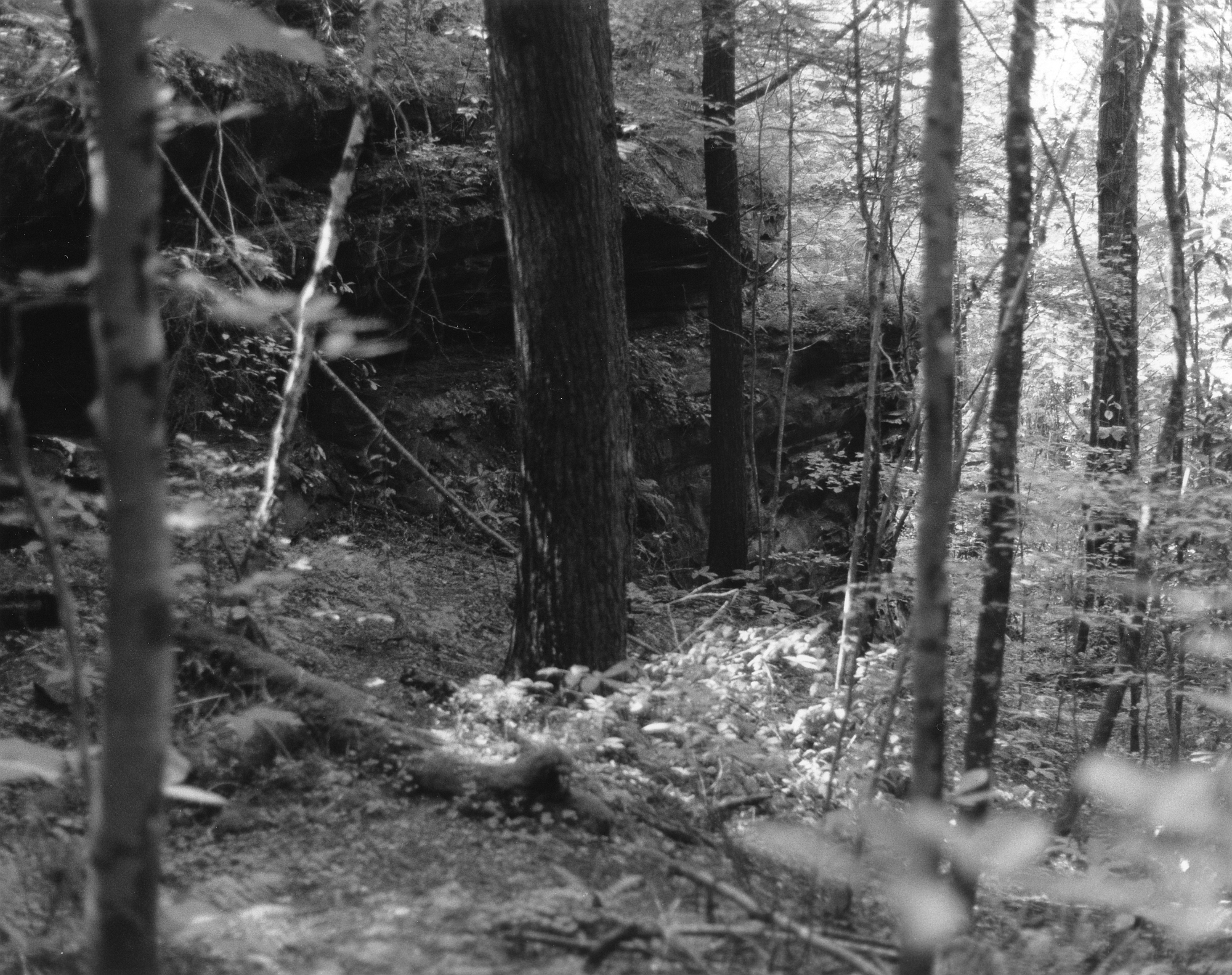 Sequenzes I-4 (Puddles of Sunshine)