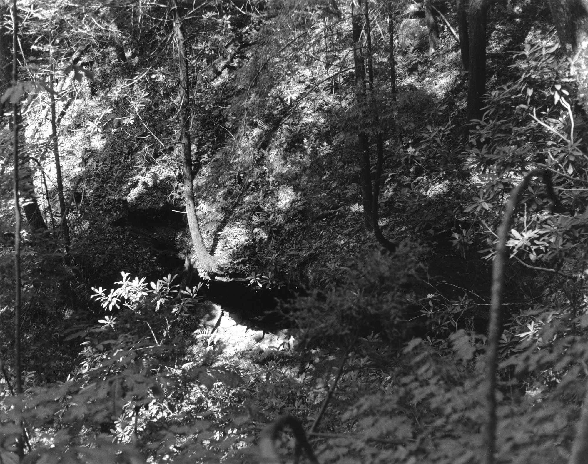 Sequenzes I-5 (Puddles of Sunshine)