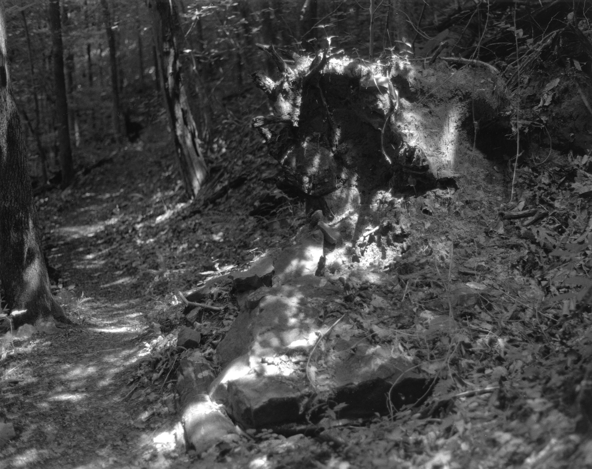 Sequenzes I-6 (Puddles of Sunshine)