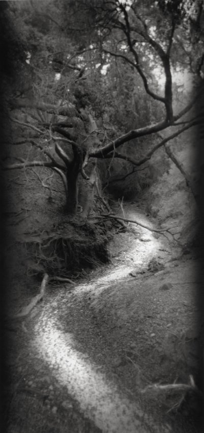 Serpents Lair