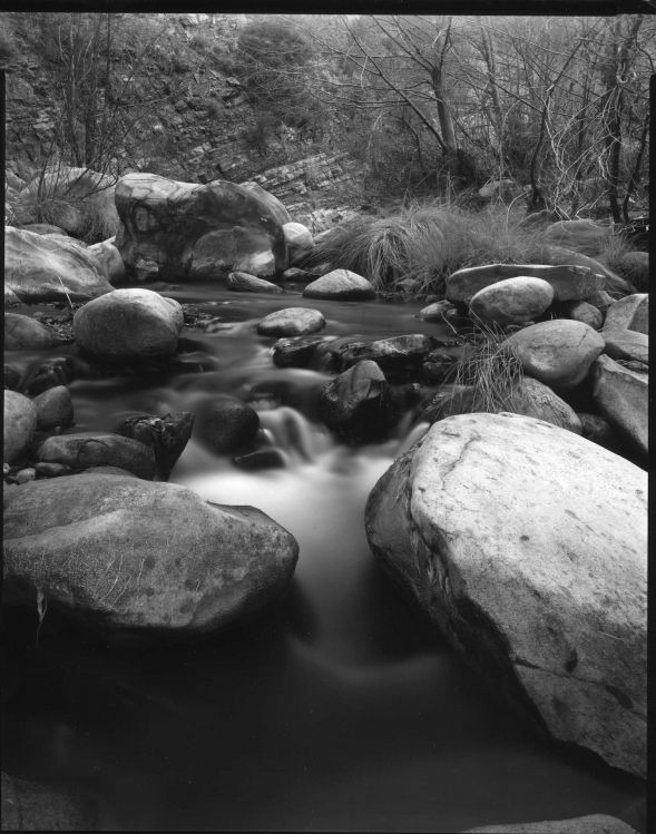Sespe Creek, Ojai