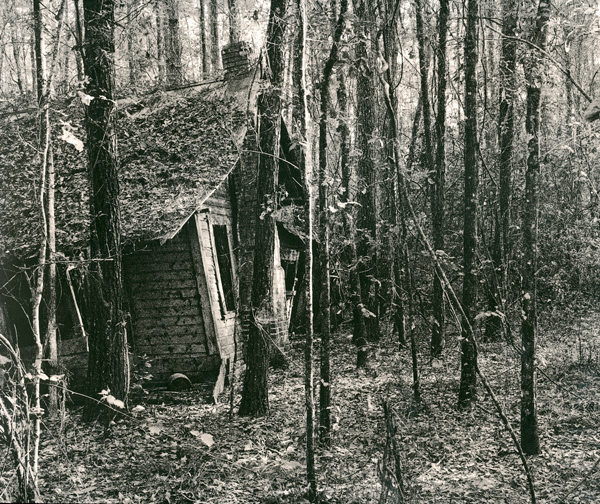 Shack In Woods