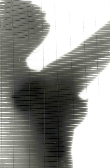 Shadaow blinds.  Should I print it Lith?