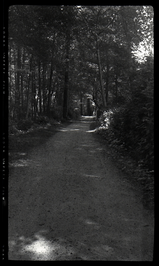 Shaded Path