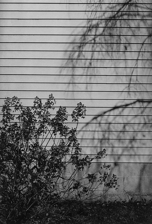 Shadow on the House