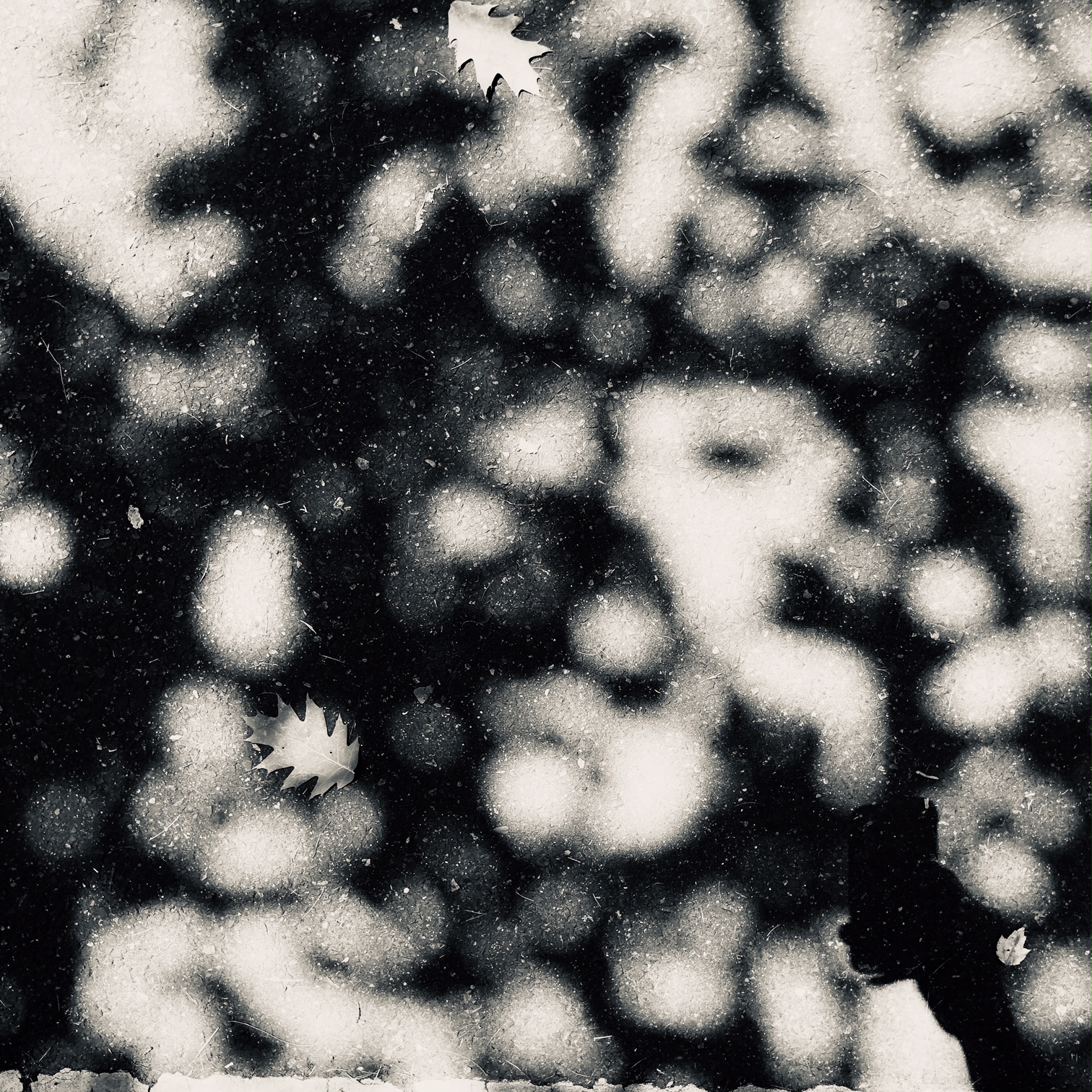 Shadow Play