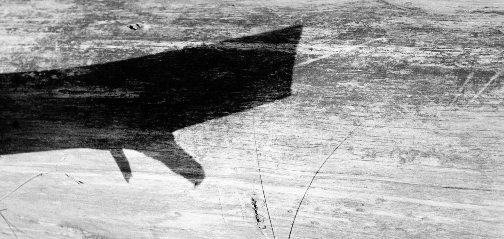Shadow
