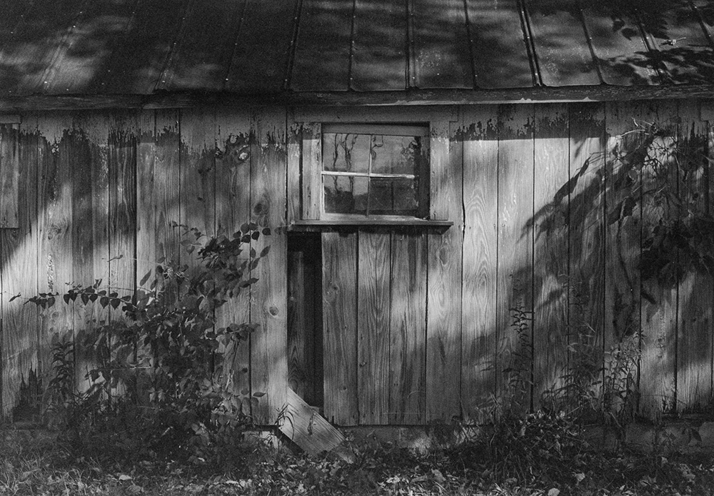Shadows 1