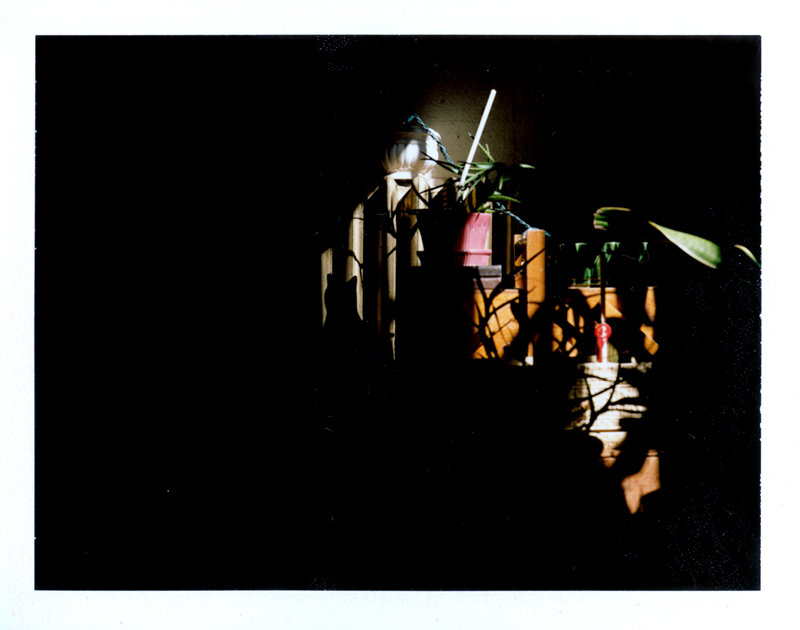 Shadows and Fujifilm FP-100c