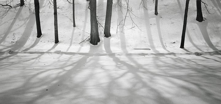Shadows by the cemetery
