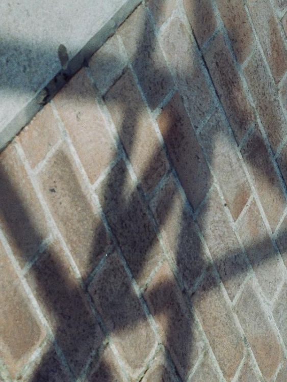 Shadows I