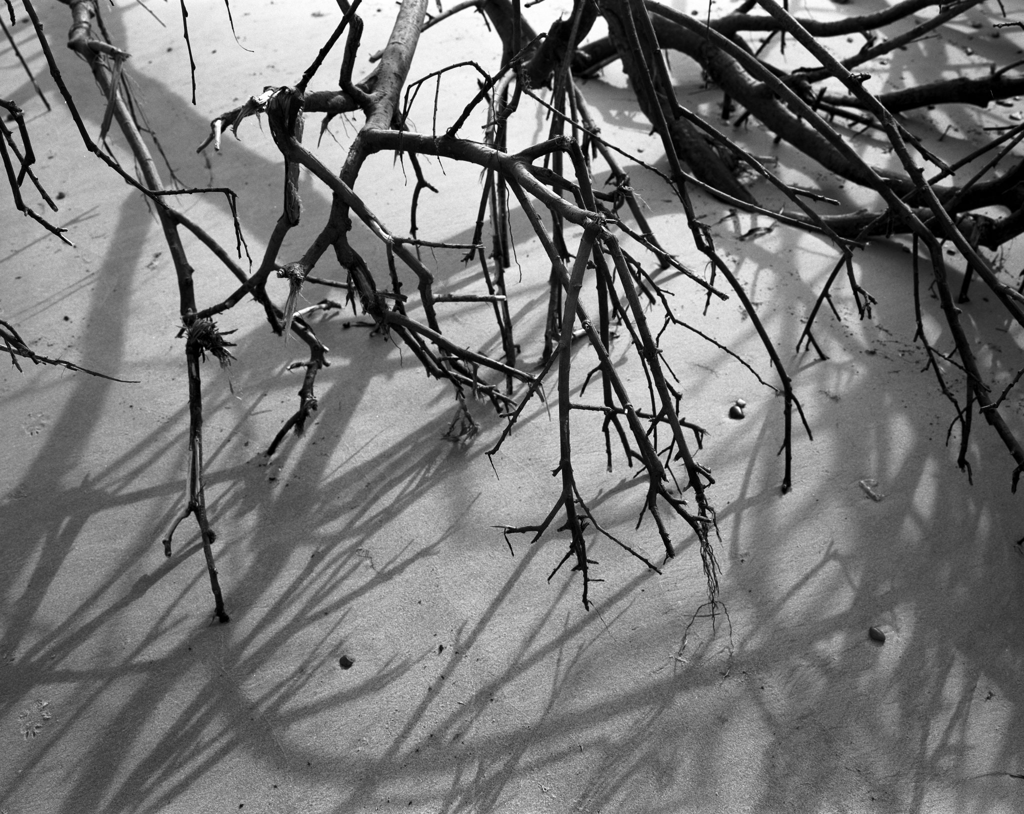 Shadows in the sand