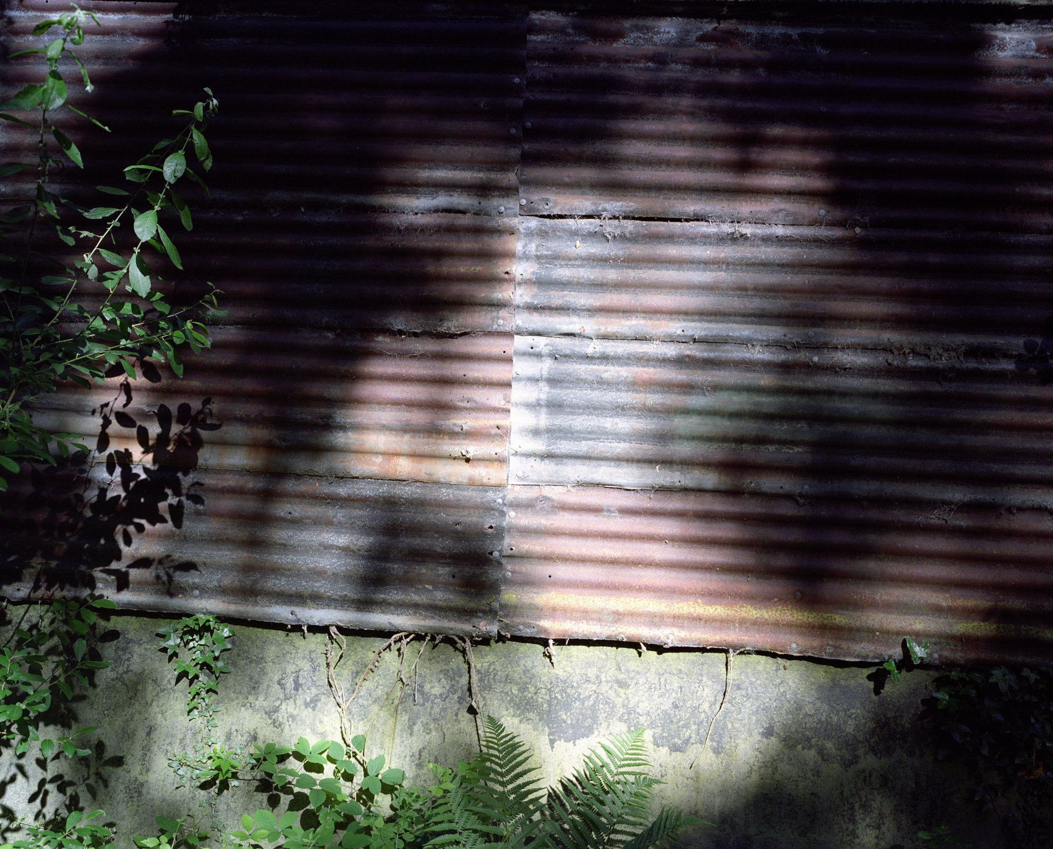 Shadows on corrugated metal - 1