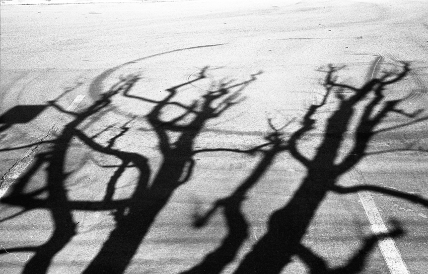 Shadows
