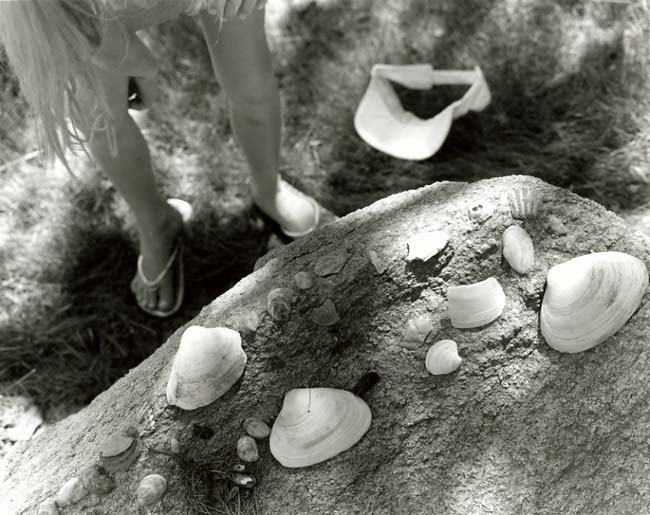 She Sells Sea Shells...