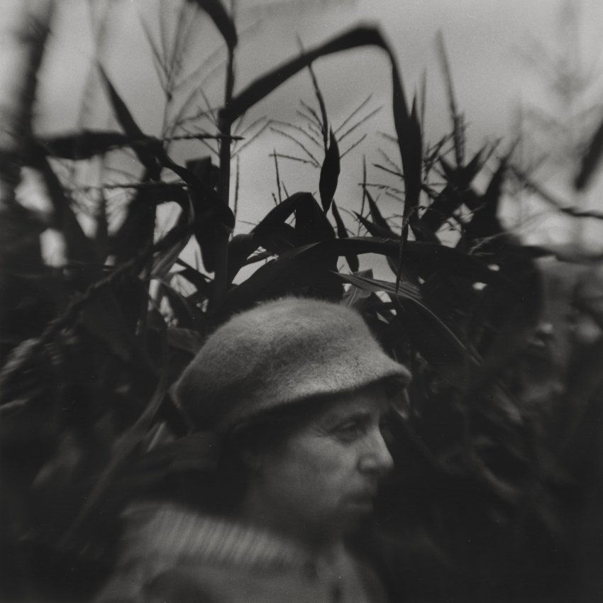 She Who Walks Behind The Rows