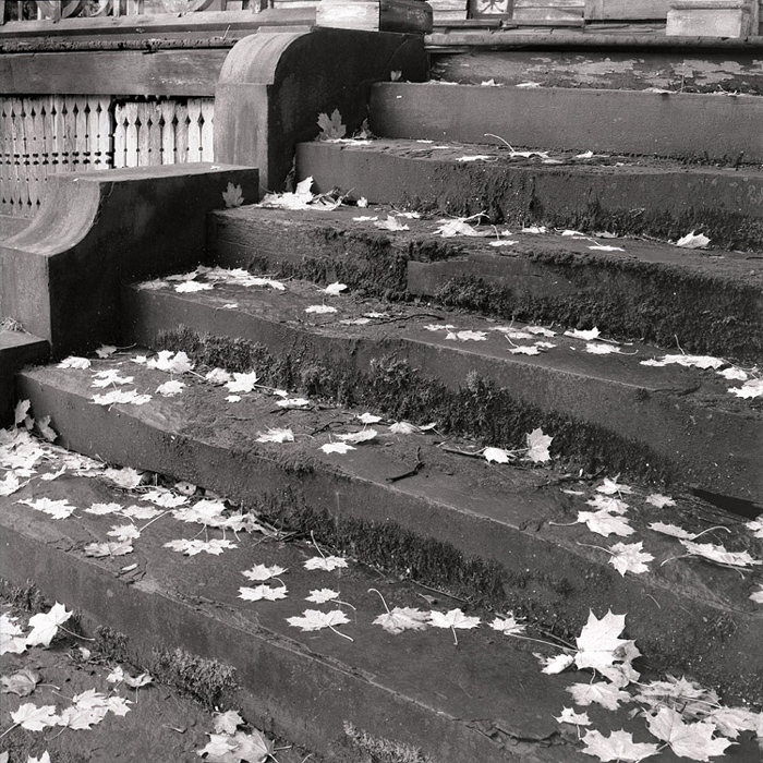 sheard steps