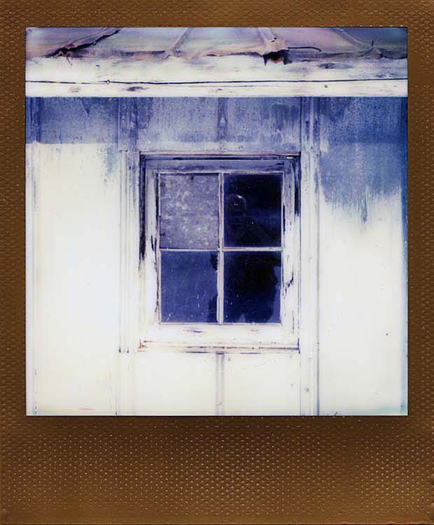 Shed #1