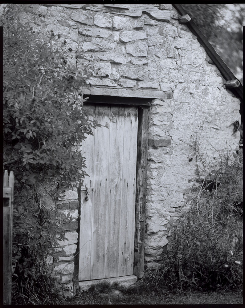 Shed Door