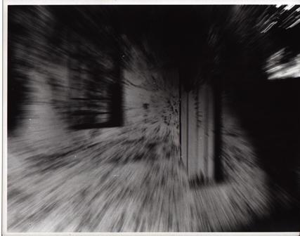 Shed Dreamlike