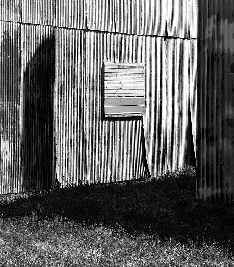 Shed Siding