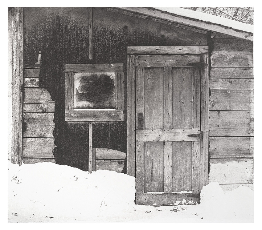 Shed
