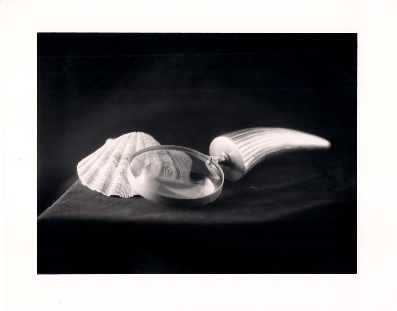 Shell and Glass