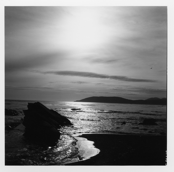 Shell Beach black and white