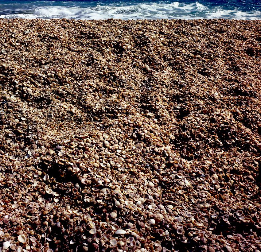 Shell Beach, St Barth