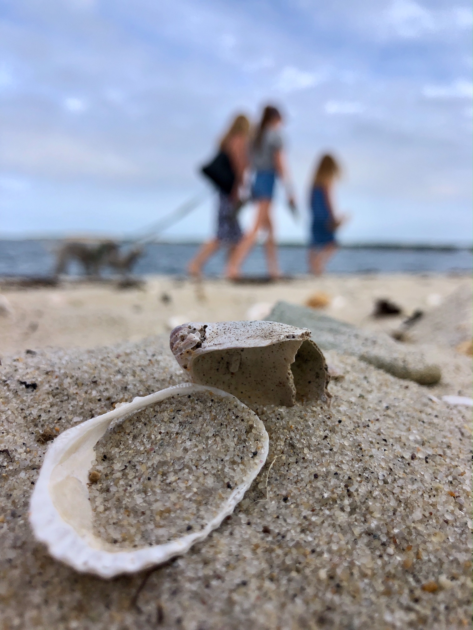 Shell game...