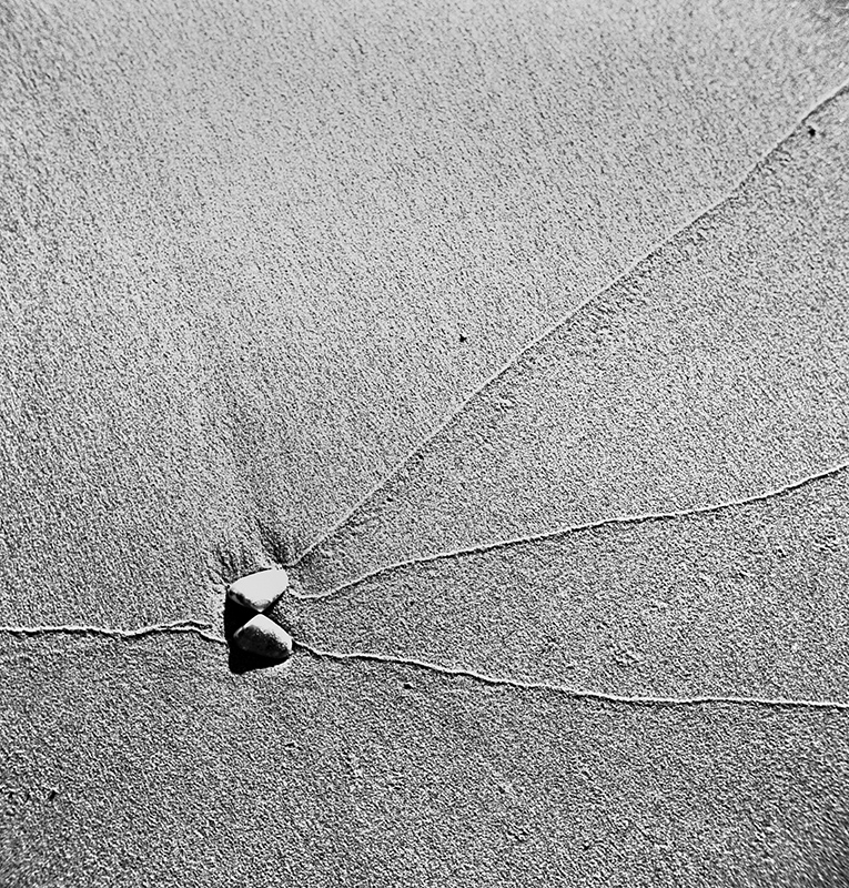 Shell.