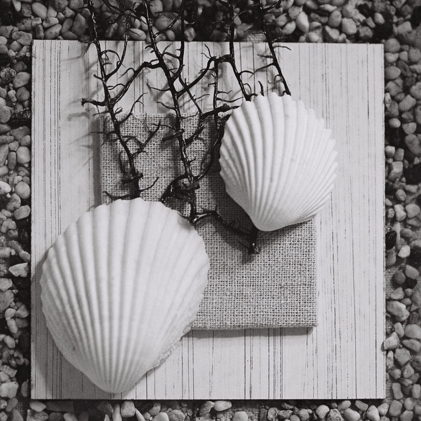 Shells