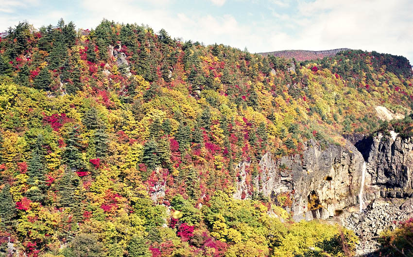 Shiraito Falls