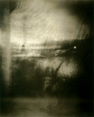 shirley shack 3